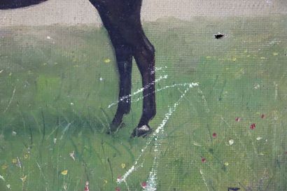 null Emily L. LONG (act.1880-1894).

Cheval dans une prairie.

Huile sur toile, signée...