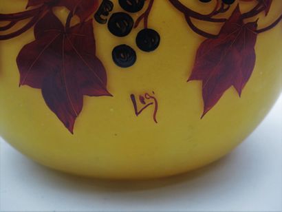null LEGRAS.

Vase bourse en verre à décor de branchages de vigne vierge, signée

H_22...