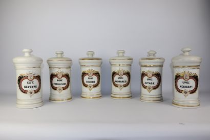 null PARIS.

Suite de cinq pots à pharmacie en porcelaine à décor polychrome d'inscriptions...