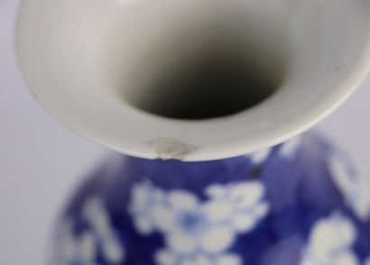 null CHINE.

Vase en porcelaine à décor en camaïeu bleu de fleurs et insectes dans...