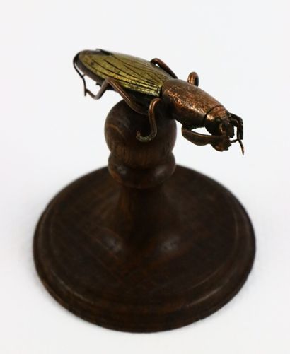null Insecte de cabinet de curiosités en cuivre et laiton, reposant sur un socle...