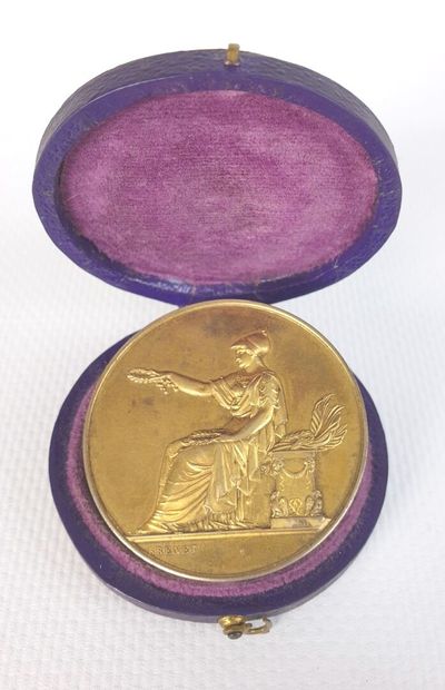 null Médaille du septième congrès de Géographie de Toulouse, 1884.

Modèle par BRENET.

D_4...