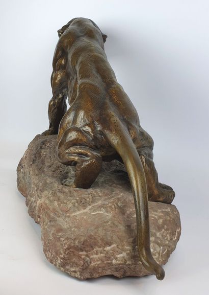 null Thomas François CARTIER (1879-1943), d'après.

Tigre rugissant.

Bronze à patine...