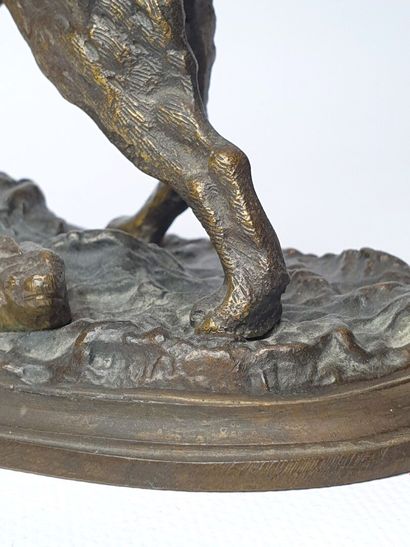 null Jules MOIGNIEZ (1835-1894), d'après.

Setter au lièvre.

Bronze à patine médaille,...