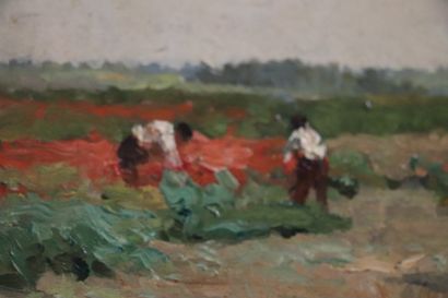null Paul Louis MARTIN DES AMOIGNES (1850-1925).

La cueillette dans un champs de...