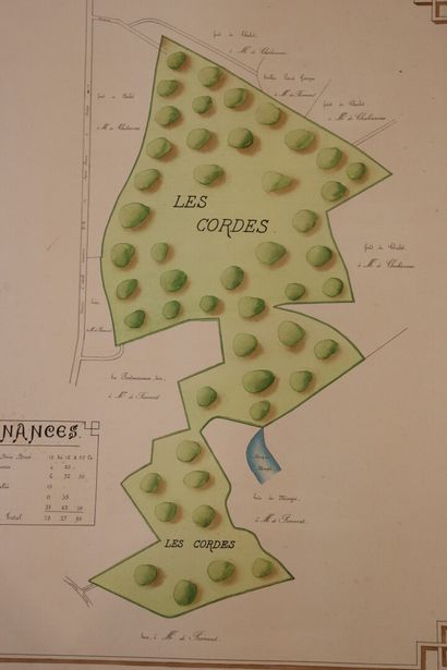 null Important plan réalisé à la plume et à l'aquarelle des bois d'Azy-le-Vif, Nièvre.

Fin...