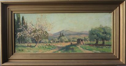 null Lucien SEEVAGEN (1887-1959).

Verger en Provence.

Huile sur toile, signée en...