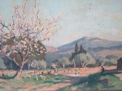 null Lucien SEEVAGEN (1887-1959).

Verger en Provence.

Huile sur toile, signée en...