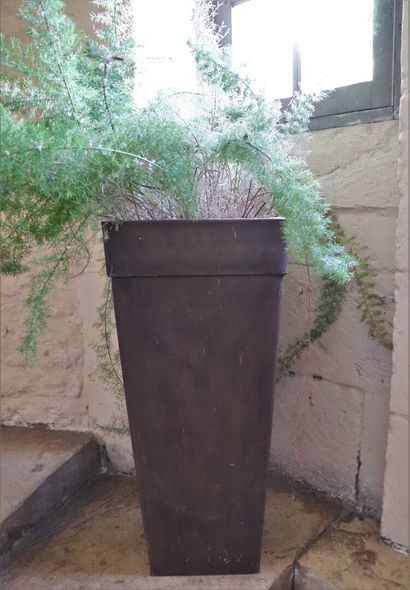 null Grand pot en résine, contenant une plante verte.

H_82 cm