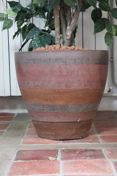 null Deux plantes artificielles dans des pots et vase contenant un bouquet de glaïeuls...