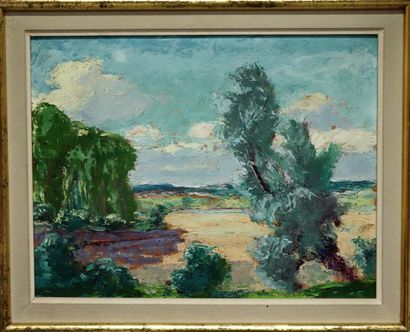 null Pierre MIRAULT (1899-1982).

Bords de Loire.

Huile sur carton, signée en bas.

H_26,5...