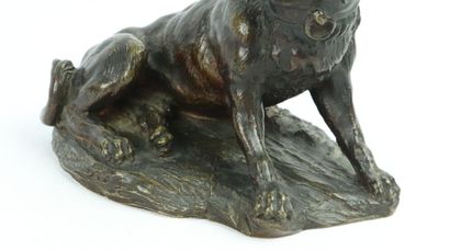 null Ecole française vers 1900.

Chien bouledogue.

Sculpture en bronze à patine...