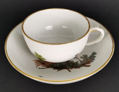 null HOCHST.

Tasse et sa sous-tasse en porcelaine à décor polychrome d'oiseaux et...