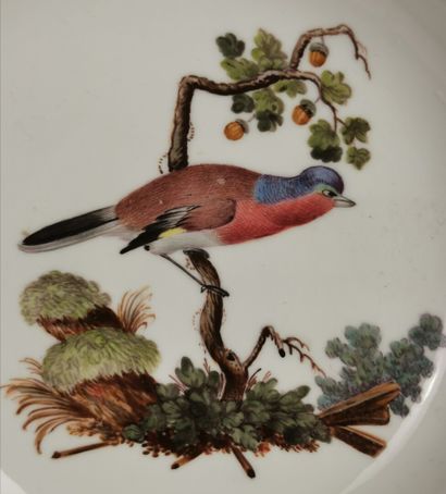 null HOCHST.

Tasse et sa sous-tasse en porcelaine à décor polychrome d'oiseaux et...