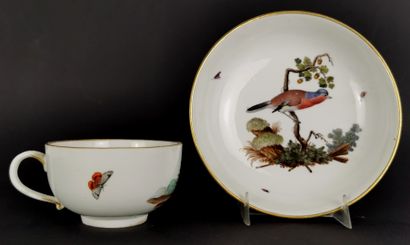 null HOCHST.

Tasse et sa sous-tasse en porcelaine à décor polychrome d'oiseaux et...