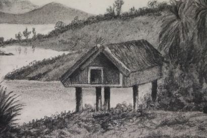 null Ecole française, 1900.

Nouvelle-Zélande.

Crayon sur papier, titré sur le montage.

H_24...