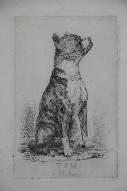 null Ecole française du XIXème siècle. 

TOM le chien, à M. de L. 

Eau-forte.

H_13...