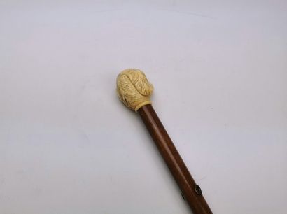 null Cane with ivory knob decorated with a dog's head (poodle?), the eyes in inlaid...