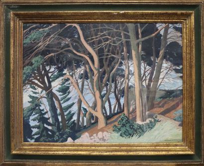 null François Marie DE MARLIAVE (1874-1953).

Paysage arboré.

Gouache et aquarelle...