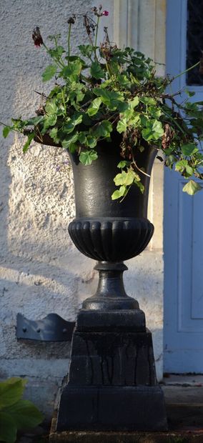 null Paire de vases Medicis en fonte laquée noire, reposant sur des socles en fonte...