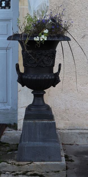 null Paire de vases Medicis à anses en fonte laquée noire, reposant sur des socles...