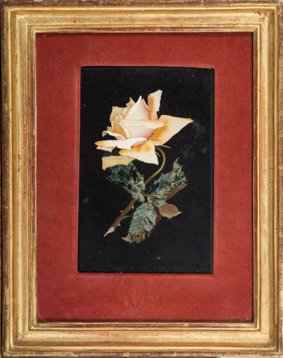 null FLORENCE.

Rose.

Plate in marble marquetry.

H_17,5 cm L_11,5 cm, without ...