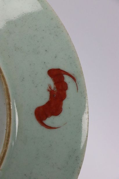 null CHINA, Canton.

Porcelain dish decorated with red fish in seaweed, on a celadon...