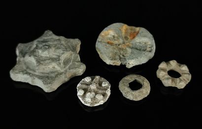 null Set of five ancient coins including Gallic rouelles.

L_2 cm to 5,2 cm