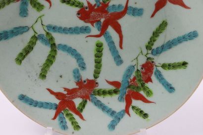 null CHINA, Canton.

Porcelain dish decorated with red fish in seaweed, on a celadon...