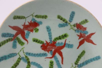 null CHINE, Canton.

Plat en porcelaine à décor de poissons rouges dans des algues,...
