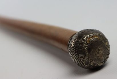 null Cane, the pommel in forged, embossed and chased silver

End of the 19th century...