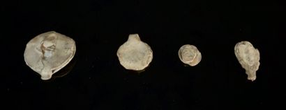 null Set of four medieval lead seals.

L_1,6 cm to 3,7 cm