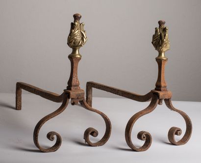 null Paire de chenets en fer forgé et bronze doré.

XVIIIème siècle.

H_35 cm L_...