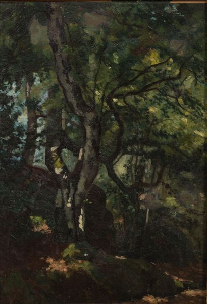 null Ecole française du XXème siècle.

Les arbres.

Huile sur toile.

H_54 cm L_40,5...