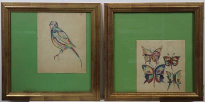 null French school of the XXth century.

Birds and butterflies.

Two watercolors...