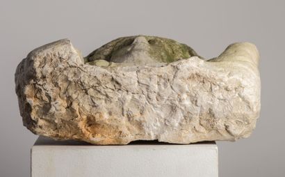 null Portrait de femme en buste, en pierre sculptée.

Art romain.

1er-3ème siècle...