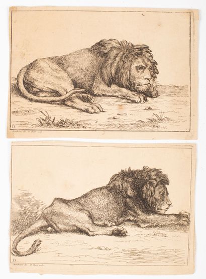 null Rembrandt Harmenszoon VAN RIJN, dit REMBRANDT (1606-1669), d'après.

Lion allongé....