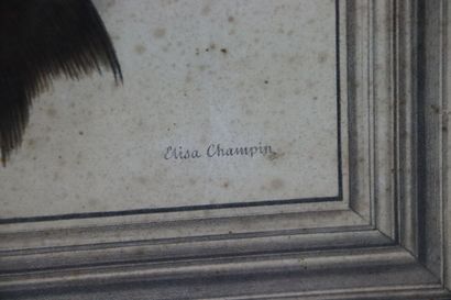 null Elisa Honorine Pitet CHAMPIN (?-1871).

Trophées de pêche, c. 1850.

Deux lithographies,...