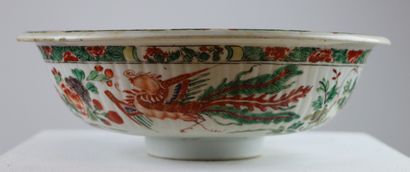 null CHINE.

Coupe en porcelaine à décor polychrome de dragons et fleurs.

Epoque...