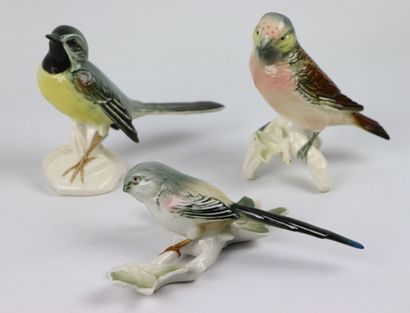 Karl ENS. 
Trois oiseaux en porcelaine polychrome.....