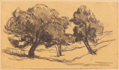 null Maximilien LUCE (1858-1941).

Les arbres.

Encre et lavis d'encre sur papier,...