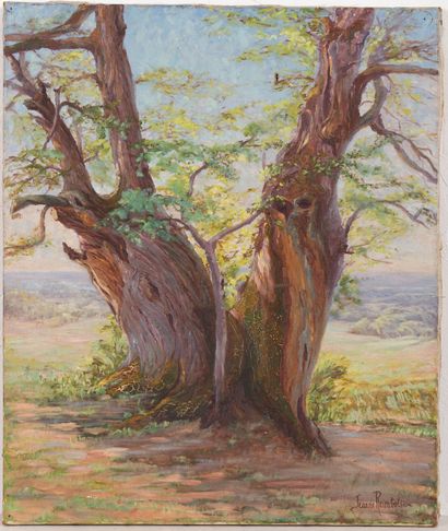 null Jeanne REIMBOLTE (1872-1943).
Jeune arbre au pied du vieil arbre.
Huile sur...