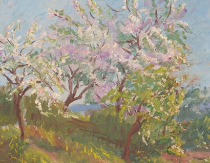 null Jeanne REIMBOLTE (1872-1943).
Les cerisiers en fleurs.
Huile sur toile, signée...