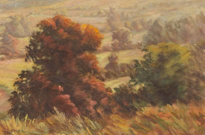 null Jeanne REIMBOLTE (1872-1943).
La vallée.
Huile sur toile, signée en bas à gauche.
H_34...