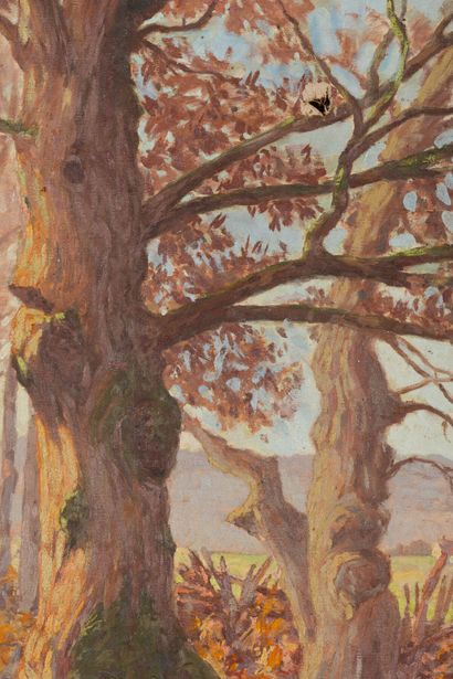 null Jeanne REIMBOLTE (1872-1943).
Lisière de forêt en Morvan.
Huile sur toile, signée...