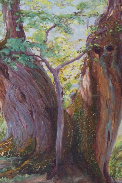 null Jeanne REIMBOLTE (1872-1943).
Jeune arbre au pied du vieil arbre.
Huile sur...