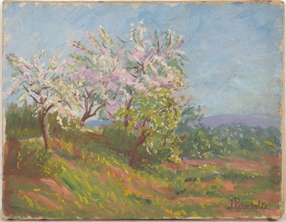 null Jeanne REIMBOLTE (1872-1943).
Les cerisiers en fleurs.
Huile sur toile, signée...