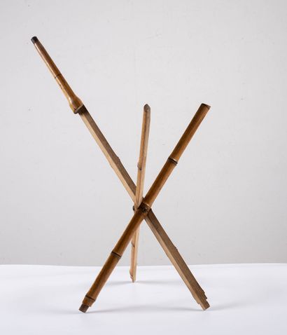 null Deployable bamboo cane, probably forming a seat or tripod.
L_90 cm
