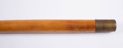 null Telescopic bamboo fishing rod
L_ from 91.5 cm to L_124 cm