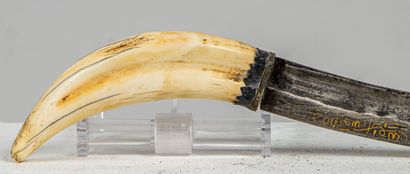 null AFRICA or ASIA.
Sickle sword, bone handle.
L_47 cm